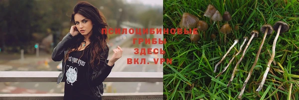 трава Беломорск