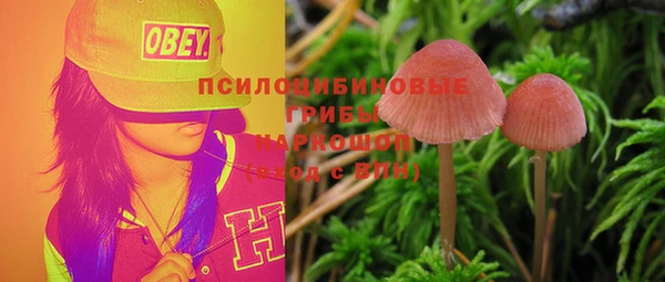 мдма Белокуриха